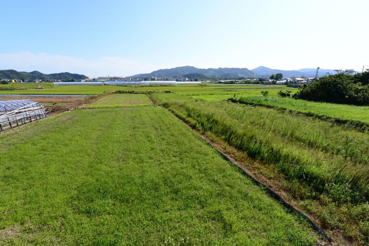 Haruno Guesthouse Kōchi Exteriér fotografie